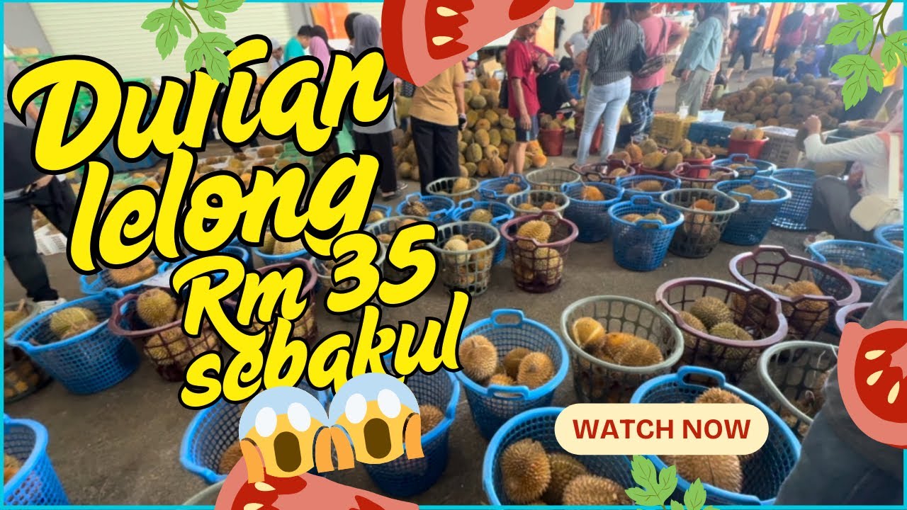 GILERLAH😱😱DURIAN LELONG SEBAKUL HANYA RM 35😱😱