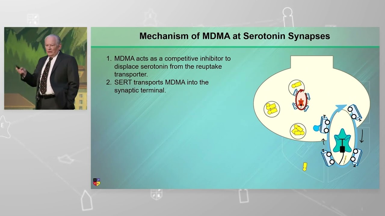Mechanism of Action of MDMA