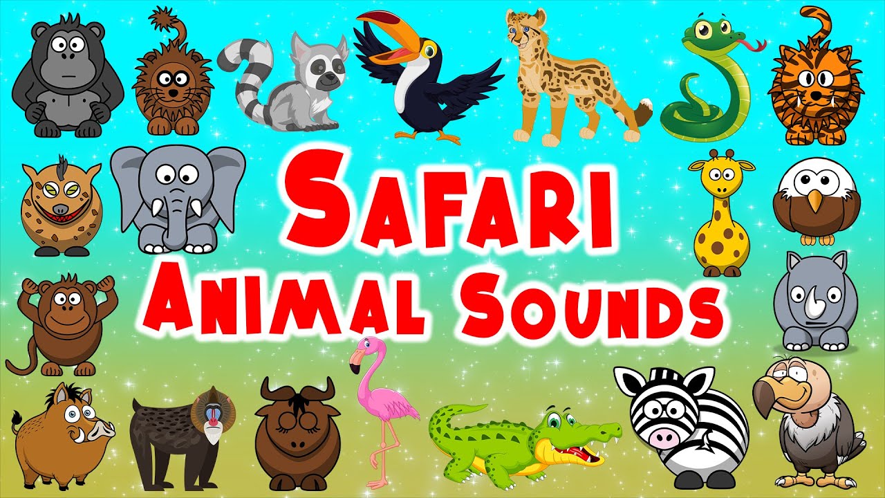 Safari Animal Sounds Song | Nursery Rhymes | LittleKidsTV