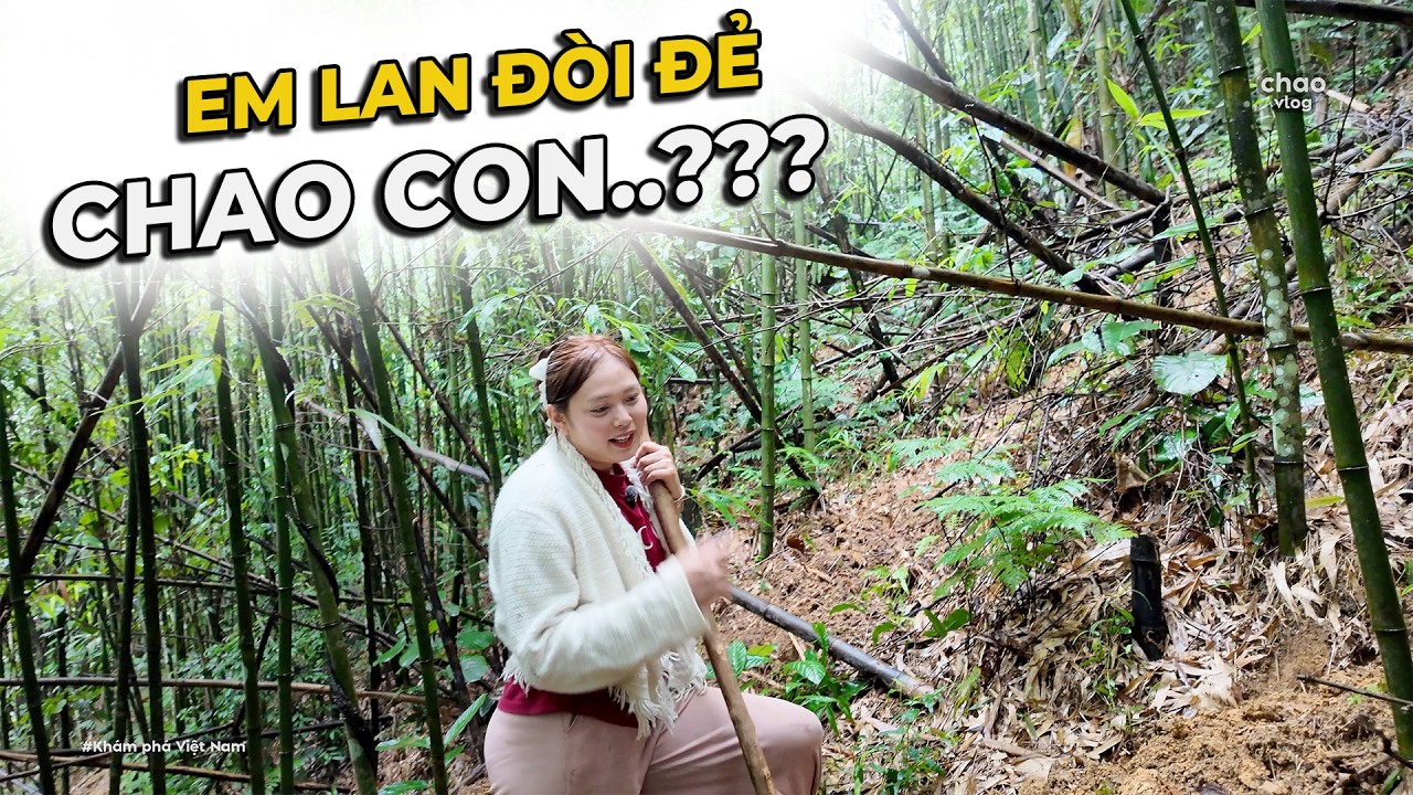 NÓNG HẾT CẢ NGƯỜI ĐI ĐÀO MĂNG VỚI HOT GIRL NGƯỜI DAO TRÊN ĐỒI ĐAO - P2