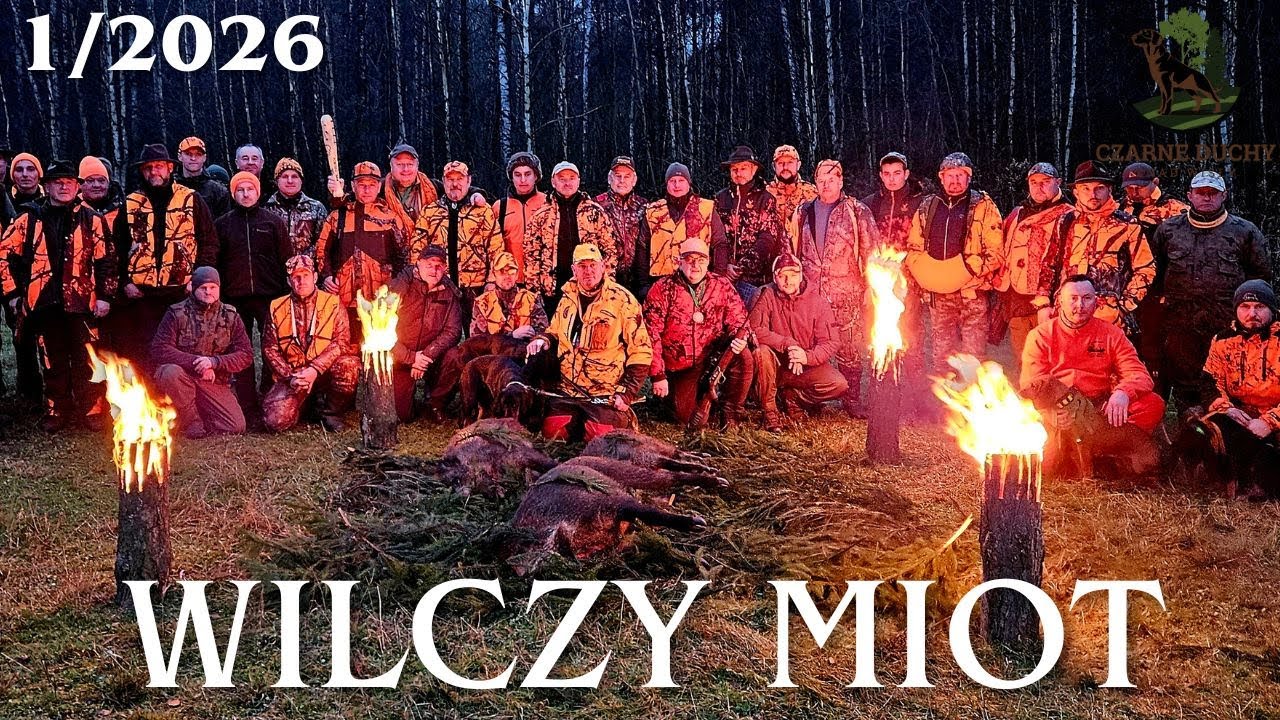 Cienie Lasu i sprytne dziki. Polowanie Zbiorowe. HUNTING IN POLAND. CZARNE DUCHY ZNAD WISŁY 1/2026