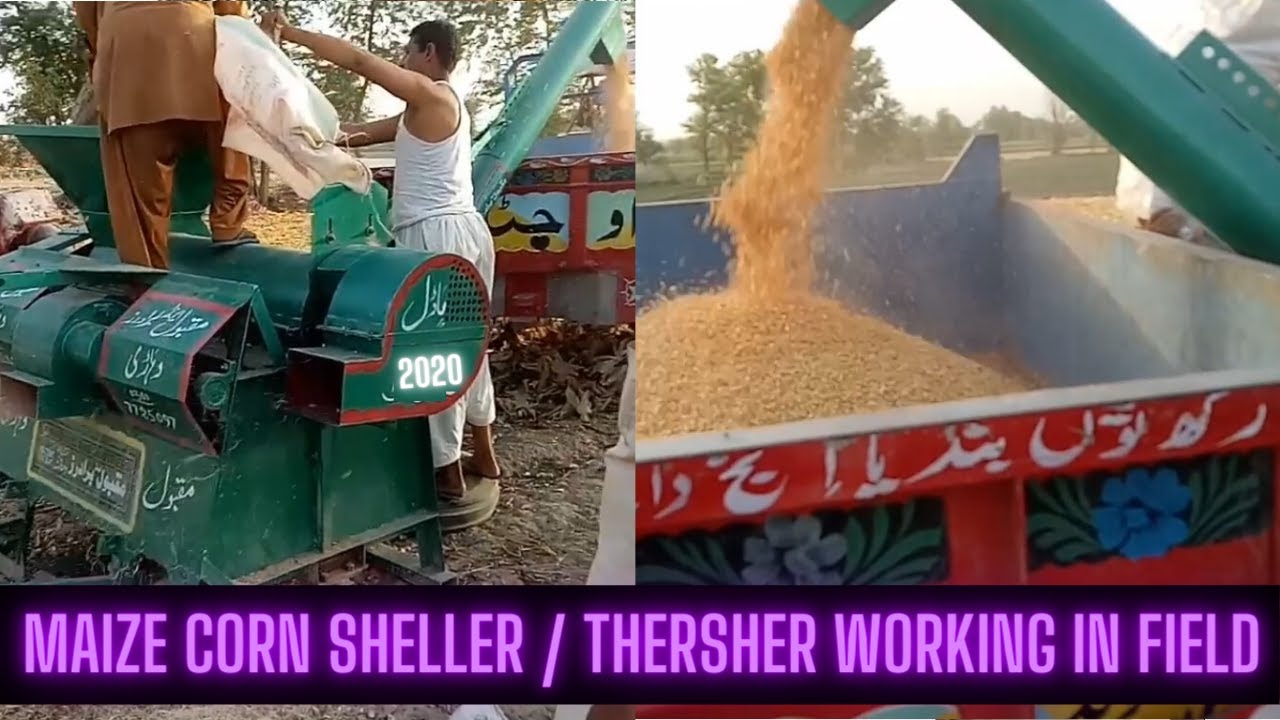 Maize Sheller tractor mount - Corn Sheller During Working on Field #Maqbool #Vehari #MaqboolBrothers
