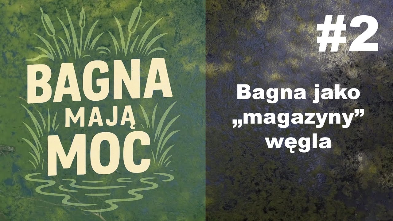 Bagna mają moc #2 Bagna jako „magazyny” węgla - prof. Bogdan Chojnicki