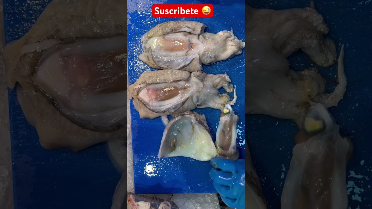 Sabes como limpiar la sepia? #tutorial #comida #fishing #viral #trending #asmr #gym #espa&ntilde;a #espn