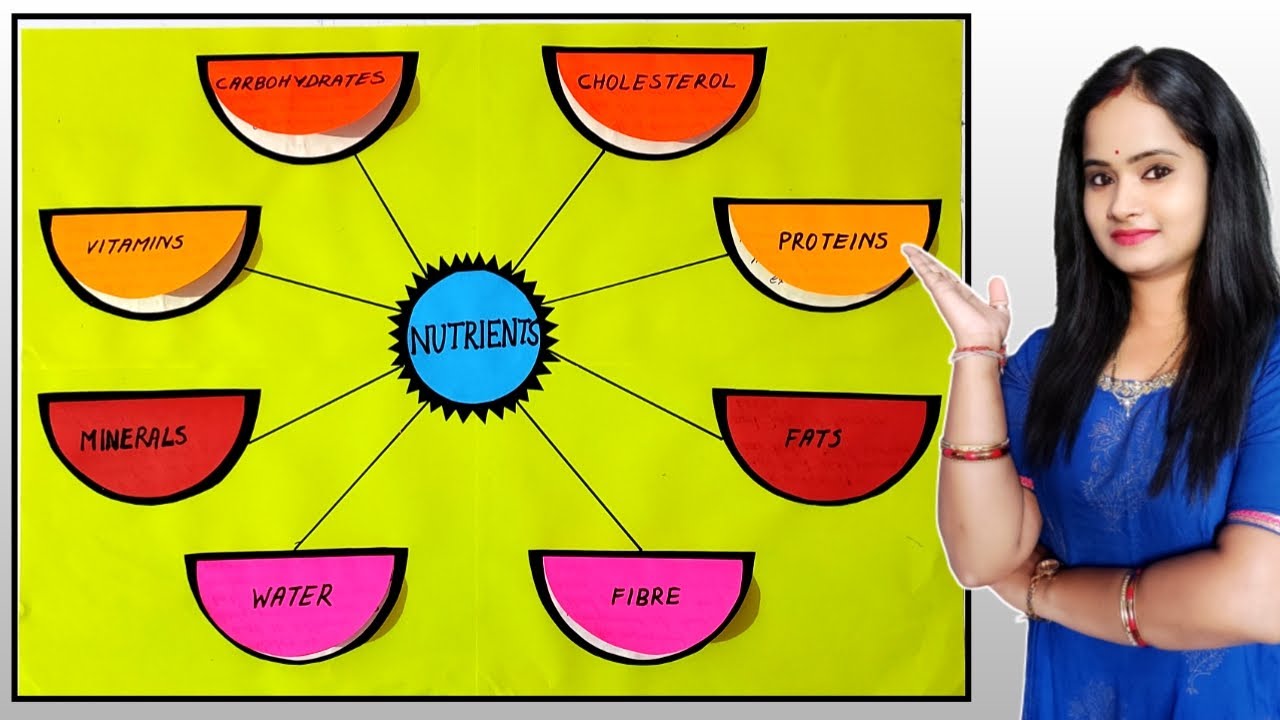Nutrients Chart | Science TLM | How To Make Nutrients TLM |