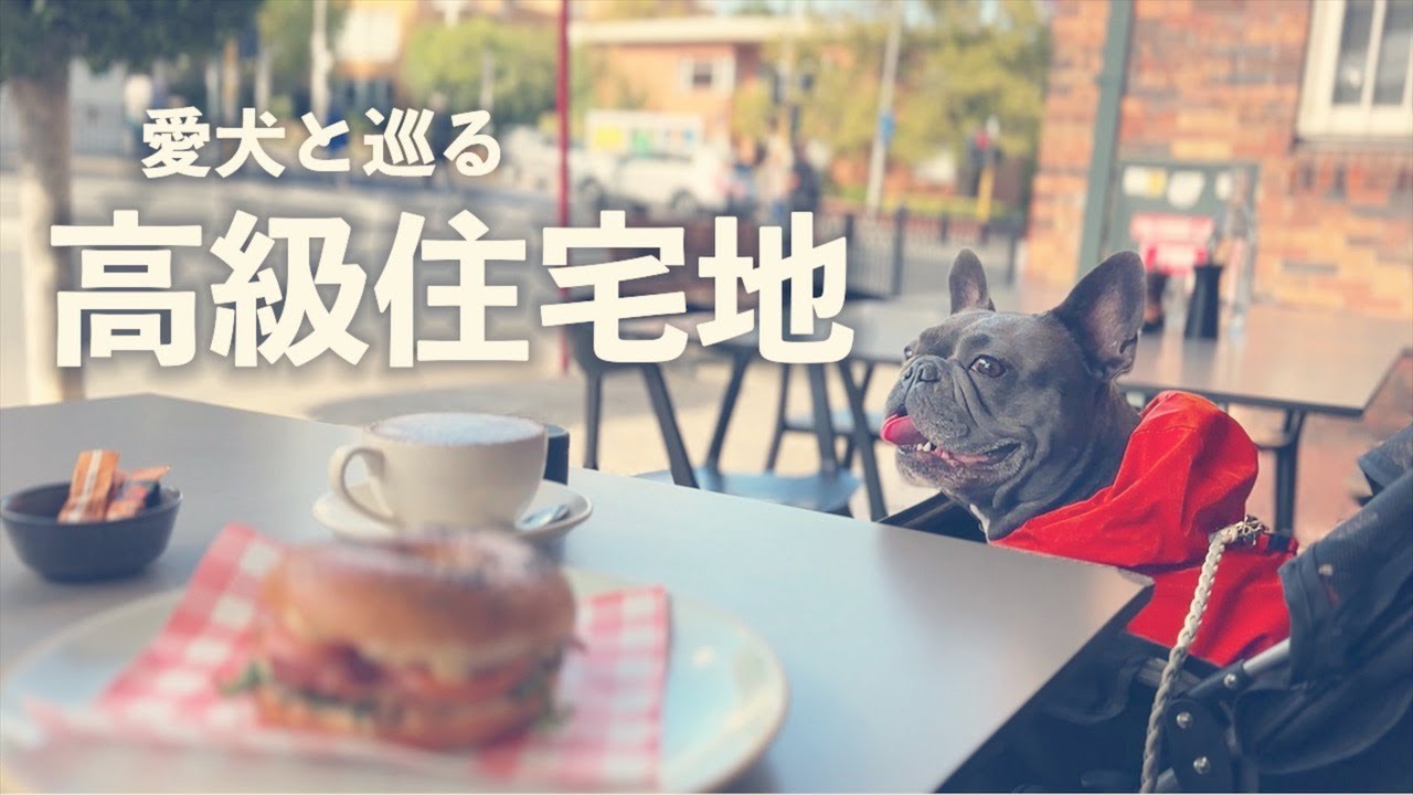 【7年連続世界一住みやすい街】憧れの高級住宅街を歩く愛犬がハッピーな事