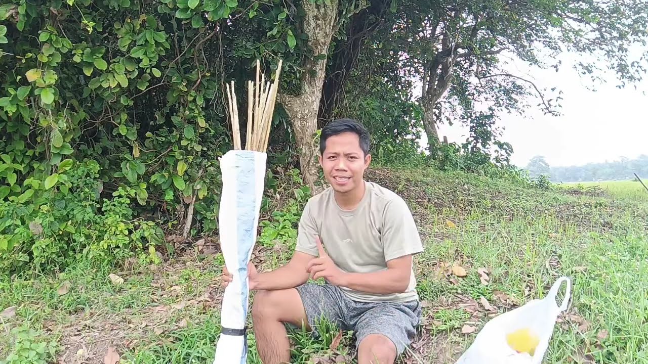 EKSPERIMEN USUS AYAM UNTUK MANCING GABUS DI SAWAH, BEGINI HASILNYA 