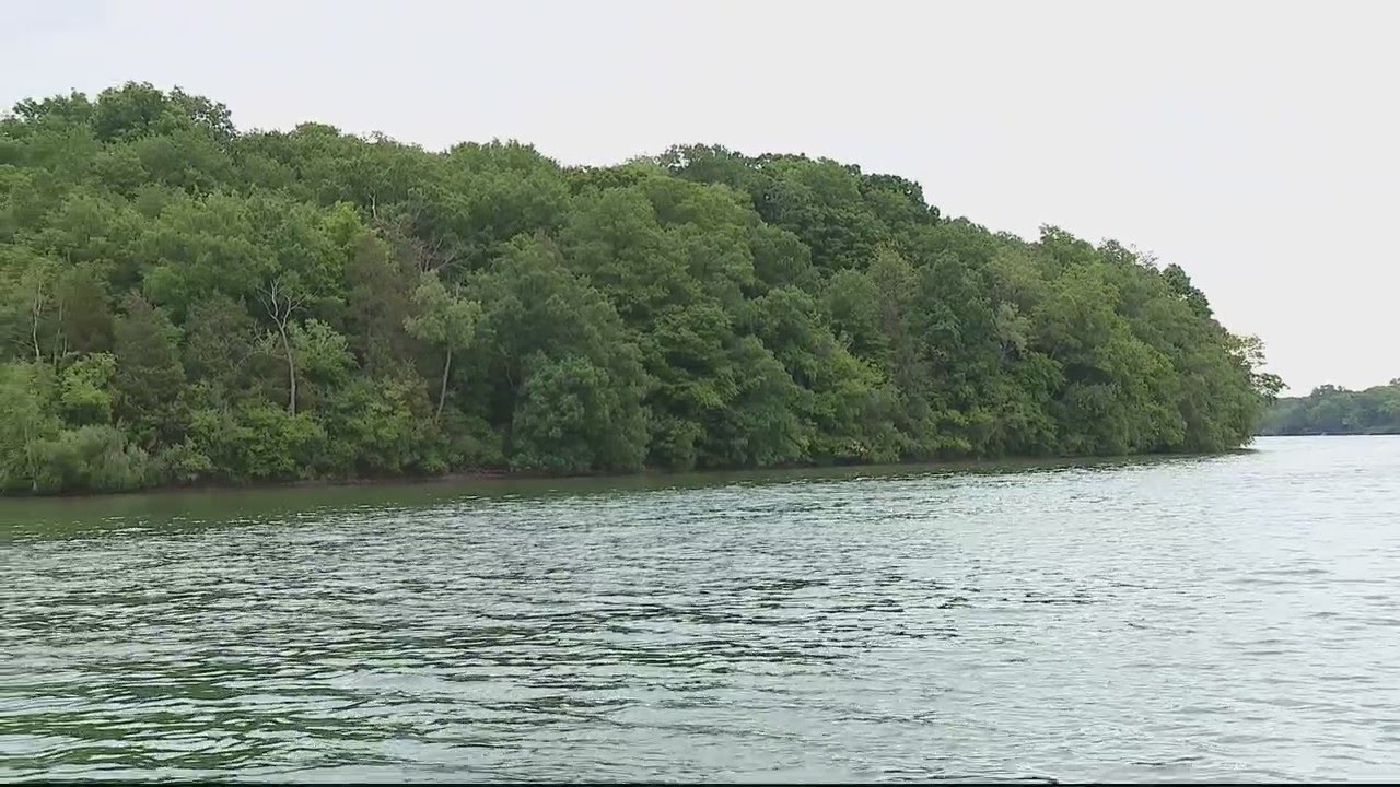 Exploring Apple Island in Michigan, an uninhabited piece of history | FOX 2 News Detroit