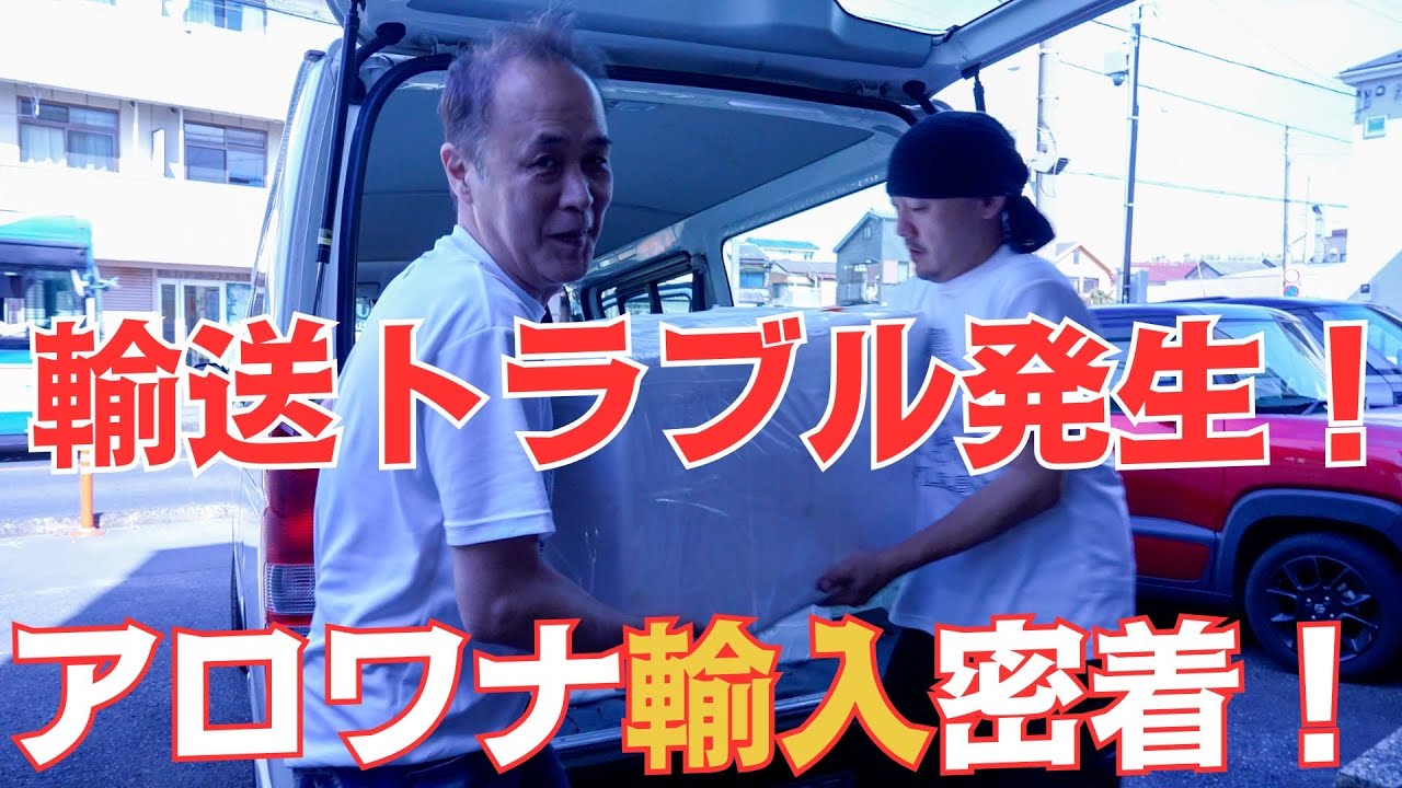【ショップ訪問】輸入魚が大変なことに！アロワナ輸入密着！　#アロワナ #高級魚 #aquarium #アクアリウム #大型魚 #アジアアロワナ #アロワナ #古代魚 #紅龍
