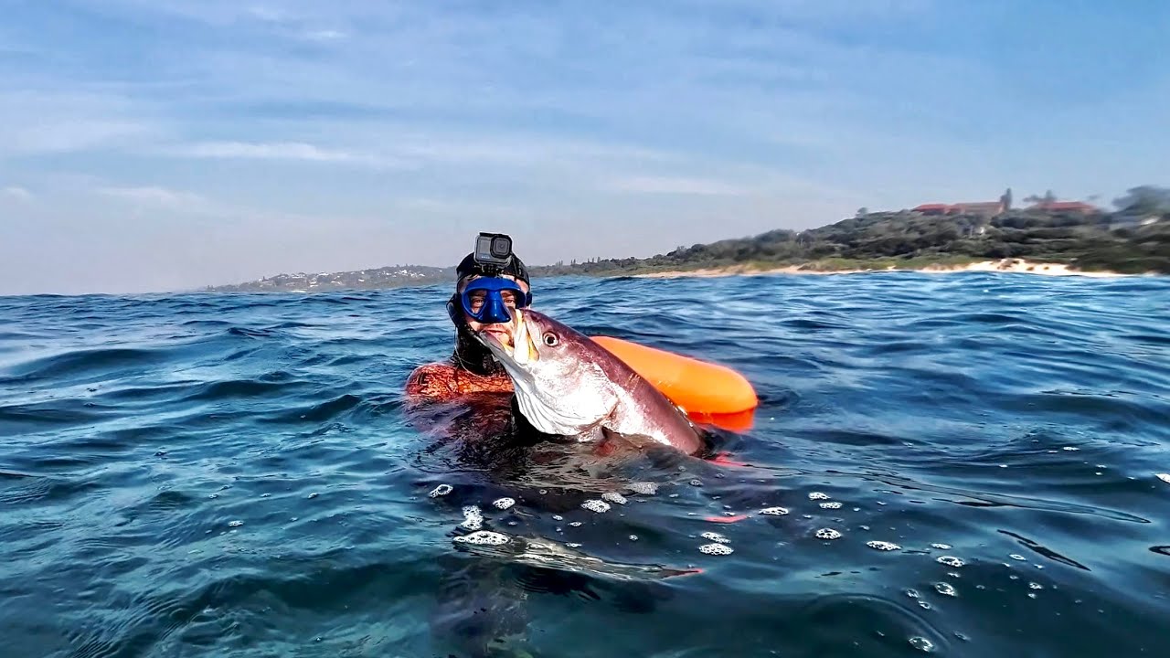 My first time spearfishing for GAME FISH (it was HARD) | SARDINE RUN 2024