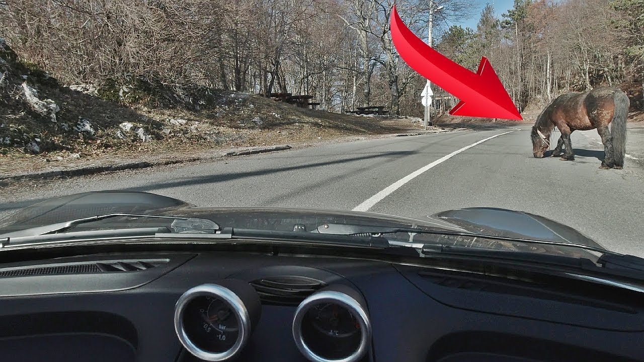 Smart Roadster Coupe - POV Driving - Almost Hit Horse | 4K Video