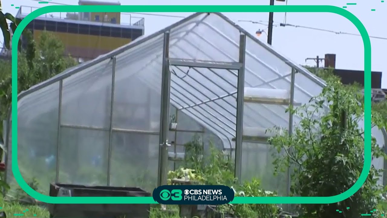West Philadelphia urban farm provides fresh produce, community experience