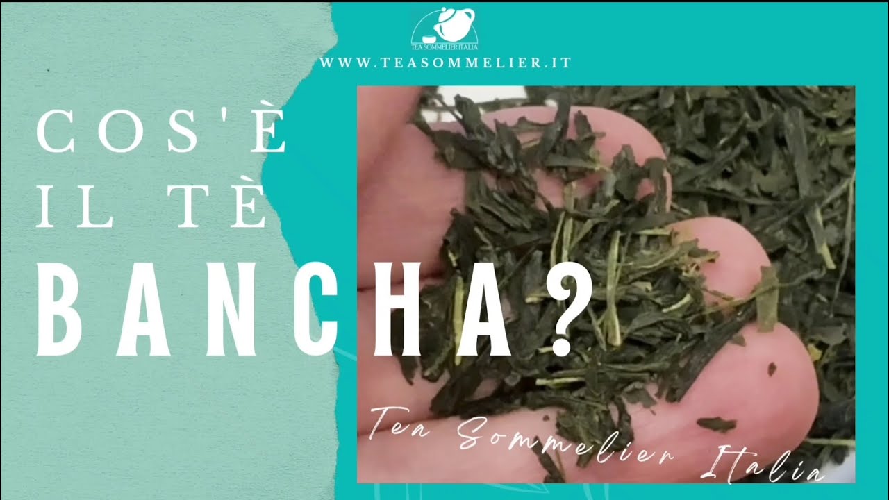 Cos'è il tè Bancha?