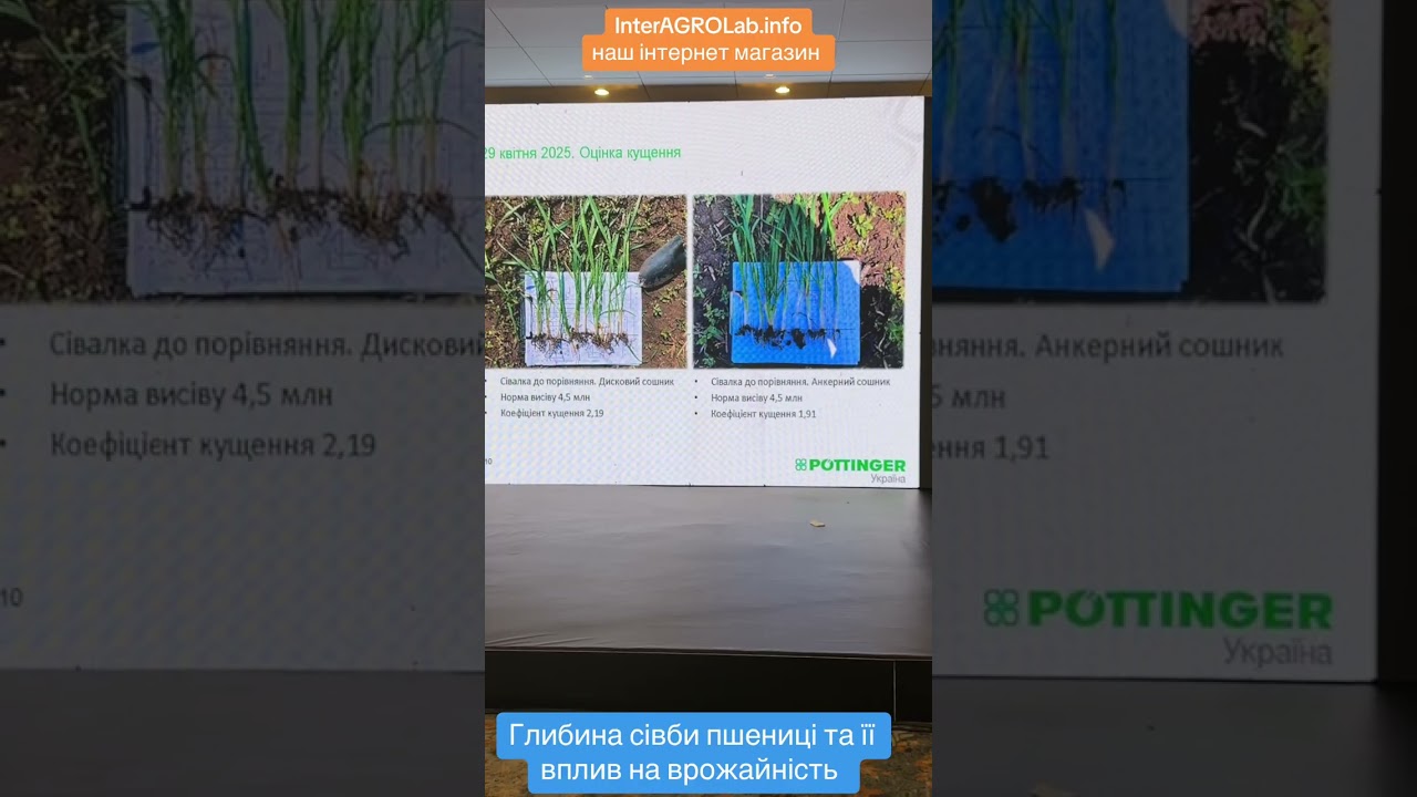 Глибина сівби кукурудзи та її врожайності 