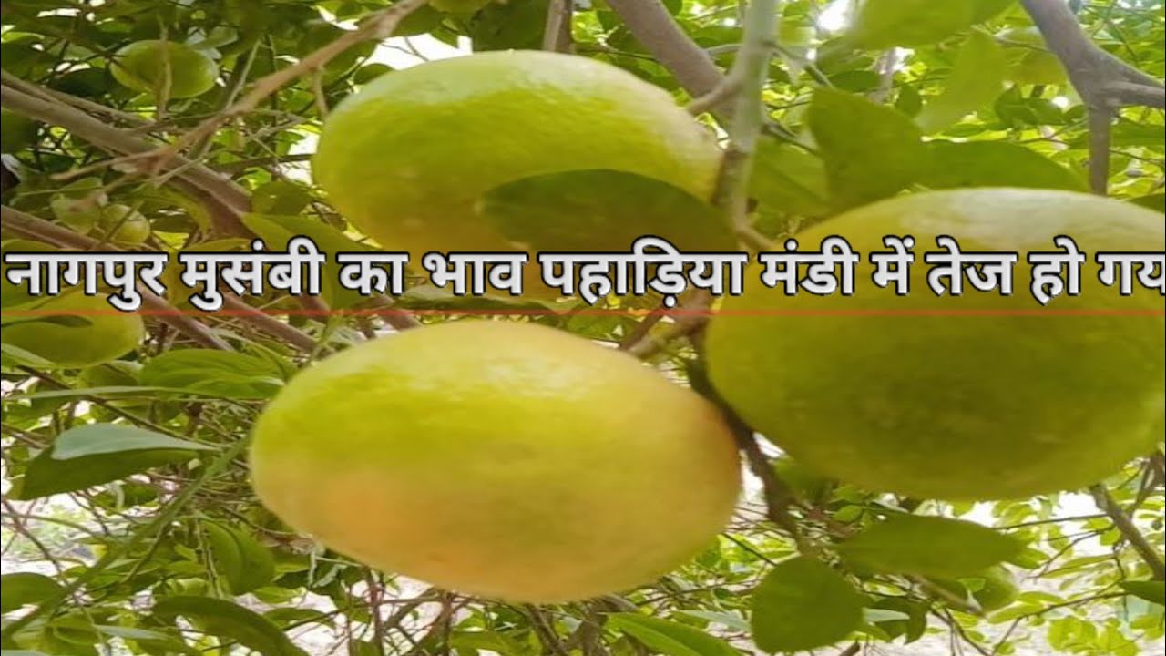Varanasi Pahadiya mandi //#varanasi #keşfet #viral #fruit #viralvideo #duet #minivlog #vegetables 