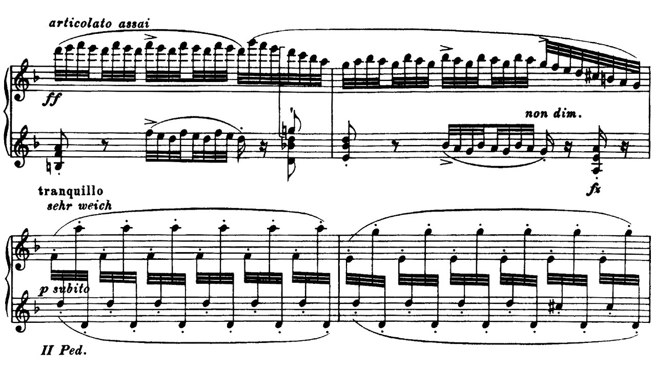 Johann Sebastian Bach/Ferruccio Busoni - Chaconne in D minor, BWV 1004/5 (Hmelnitsky)