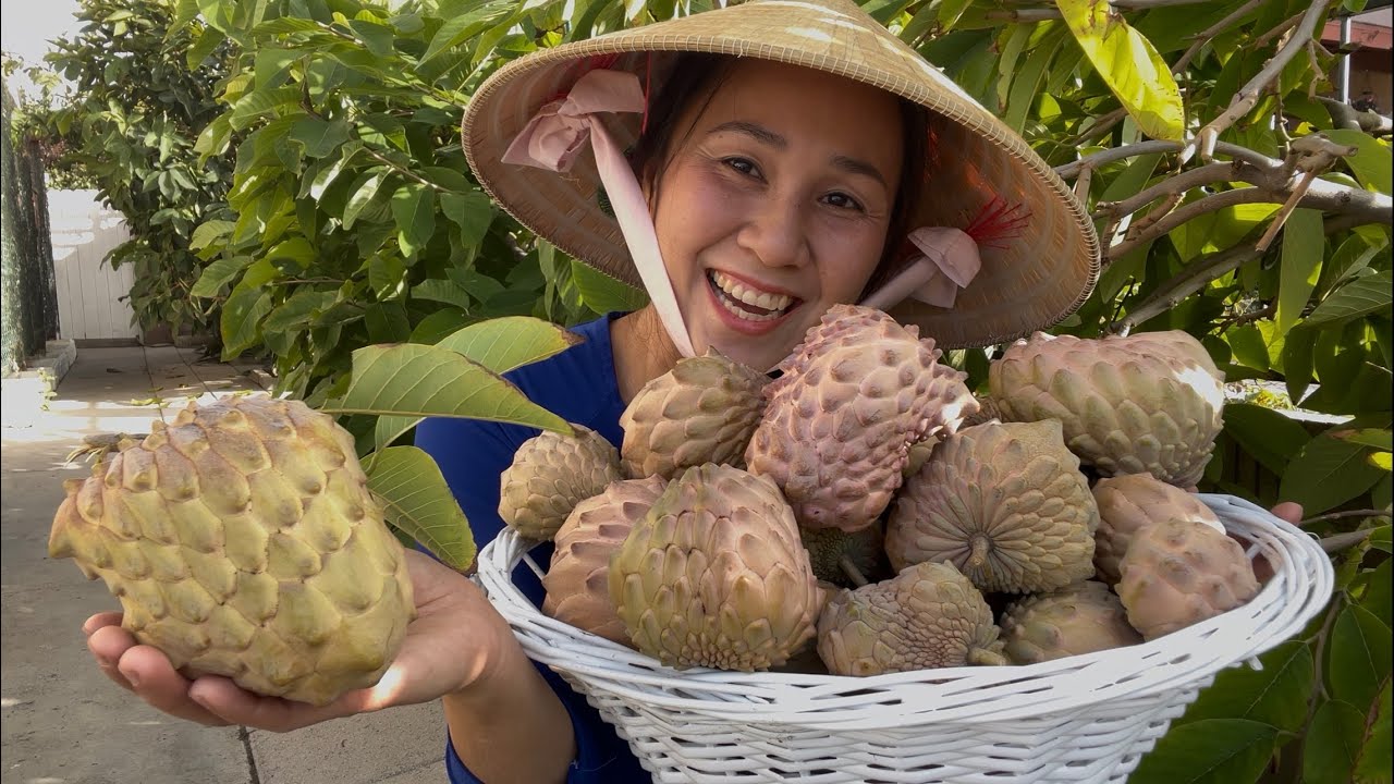 Cắt Mãng Cầu Lisa, Mận Jumbo, Ổi Cuối Mùa