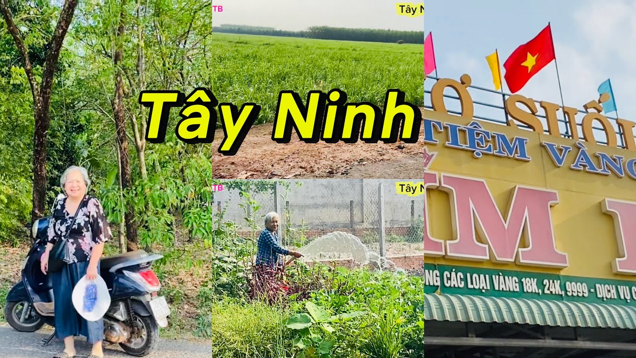 Đi chợ Suối Dây Tây Ninh. Thăm nhà thông gia.❤ ❤❤