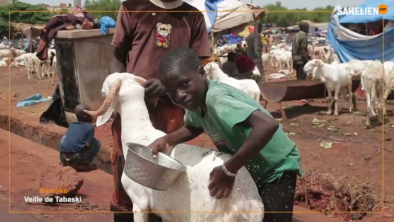 Tabaski  2023 : à Bamako les derniers préparatifs en images