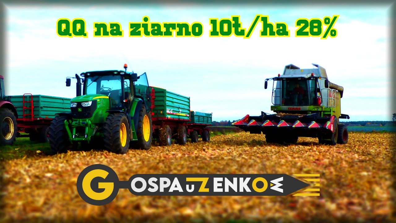 🎅Mikołajowa🎅 🌽 QQrydza 🌽na ziarno Claas Lexion 550 Olimac 🚜John Deere 6150R Zetor 7441🚜