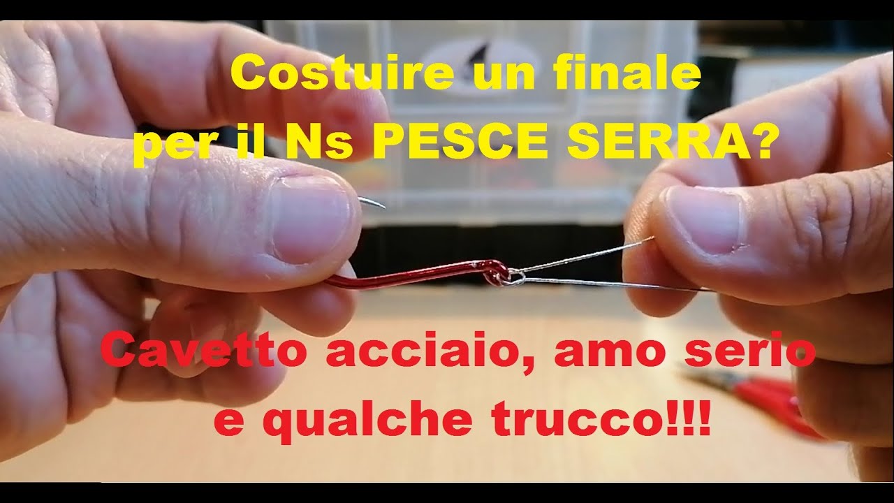 Come pescare il Pesce Serra Surfcasting ... Facciamo un finale  con qualche utile trucchetto!