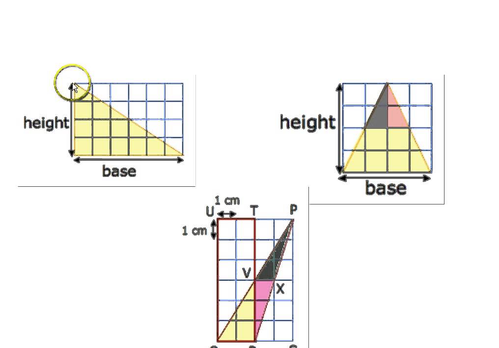 Area of Triangle   Primary 5