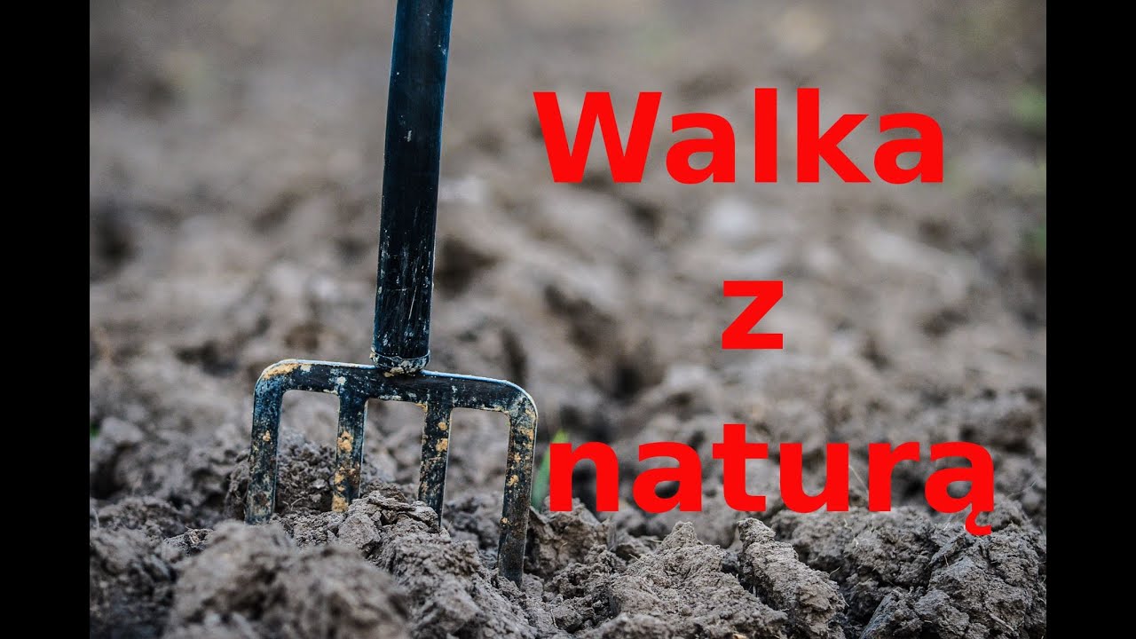 Walka z naturą, czyli dlaczego zwykły ogrodnik musi się narobić | Ogród leśny / las żywnościowy #2