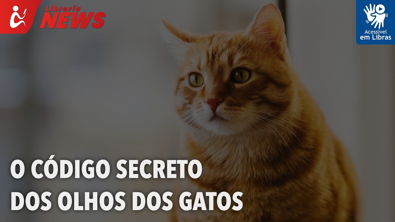 O código secreto dos olhos dos gatos (Libras)
