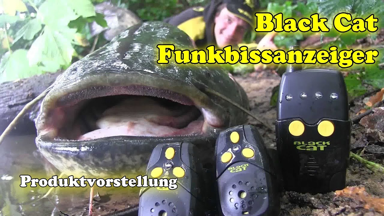 Black Cat Funkbissanzeiger Set (Produktvideo)