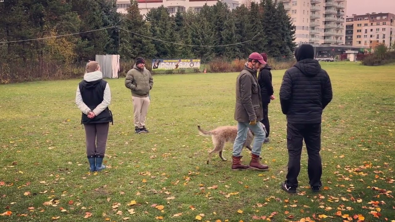Egzaminy BH-VT 19.10.2025 cz1