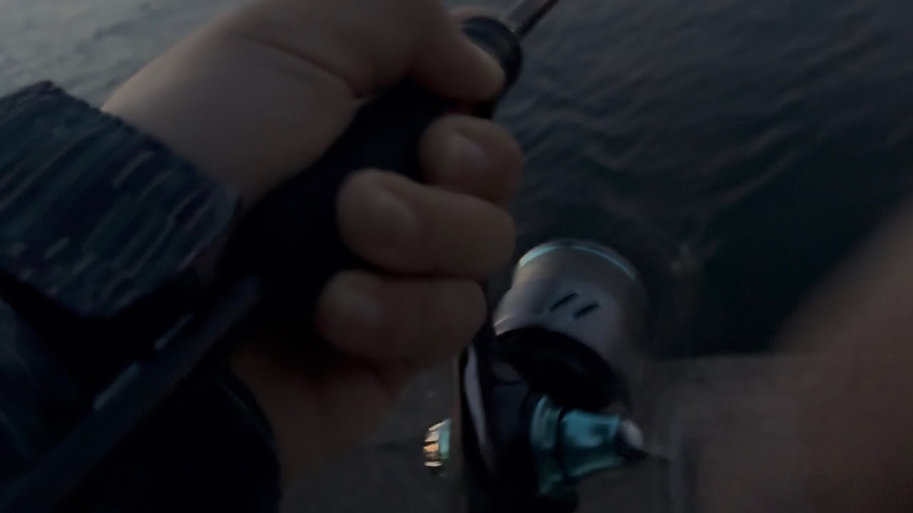【横浜釣行】江戸前アナゴを食べたくて釣りに行く