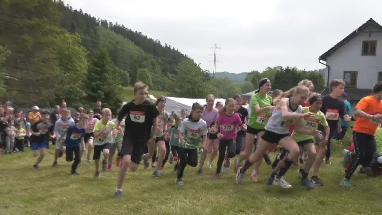 Hutňanská šelma