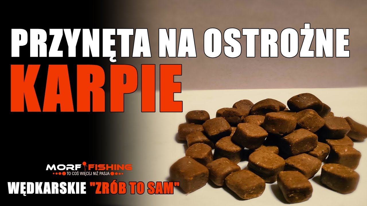 Przynęta na ostrożne karpie