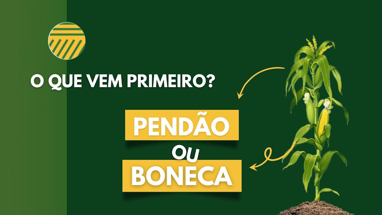 O que vem primeiro, o pend&atilde;o ou a boneca?