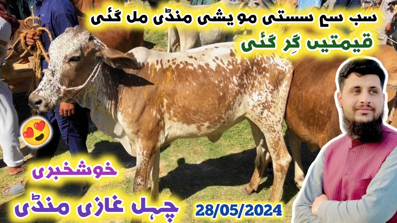 Sabse Sasti Maweshi Mandi Mil Gaye 🥰 Chehel Ghazi Baba Mandi Peshawar New Updates 28/05/2024 | Izhar