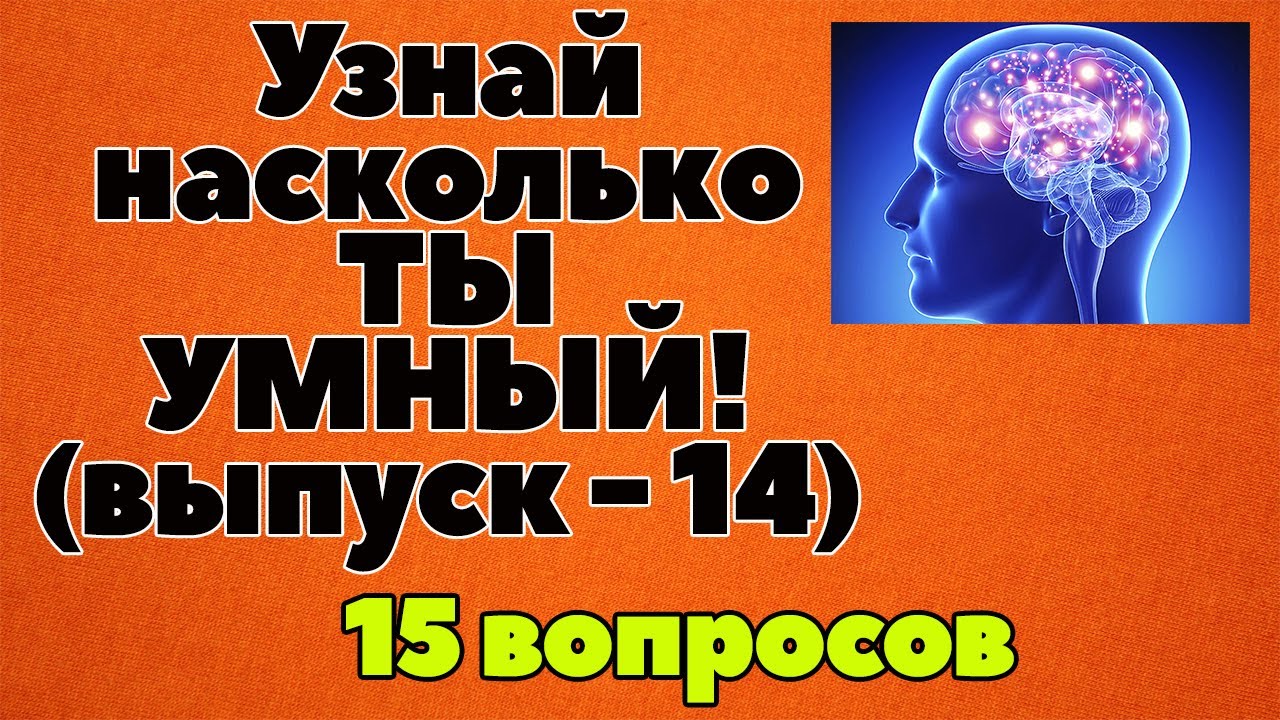 УЗНАЙ НАСКОЛЬКО ТЫ УМЕН И ЭРУДИРОВАН(ТЕСТ) - выпуск 14