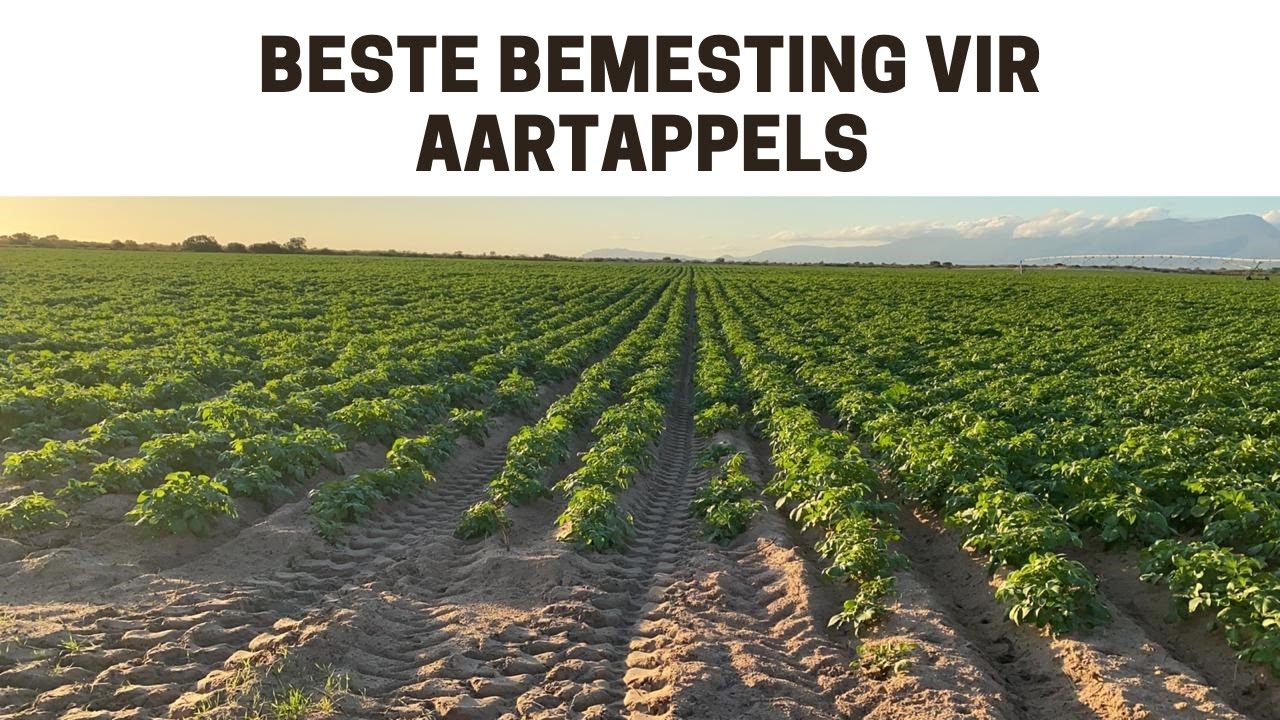Landmangroep druk sy stempel af op Sandveld