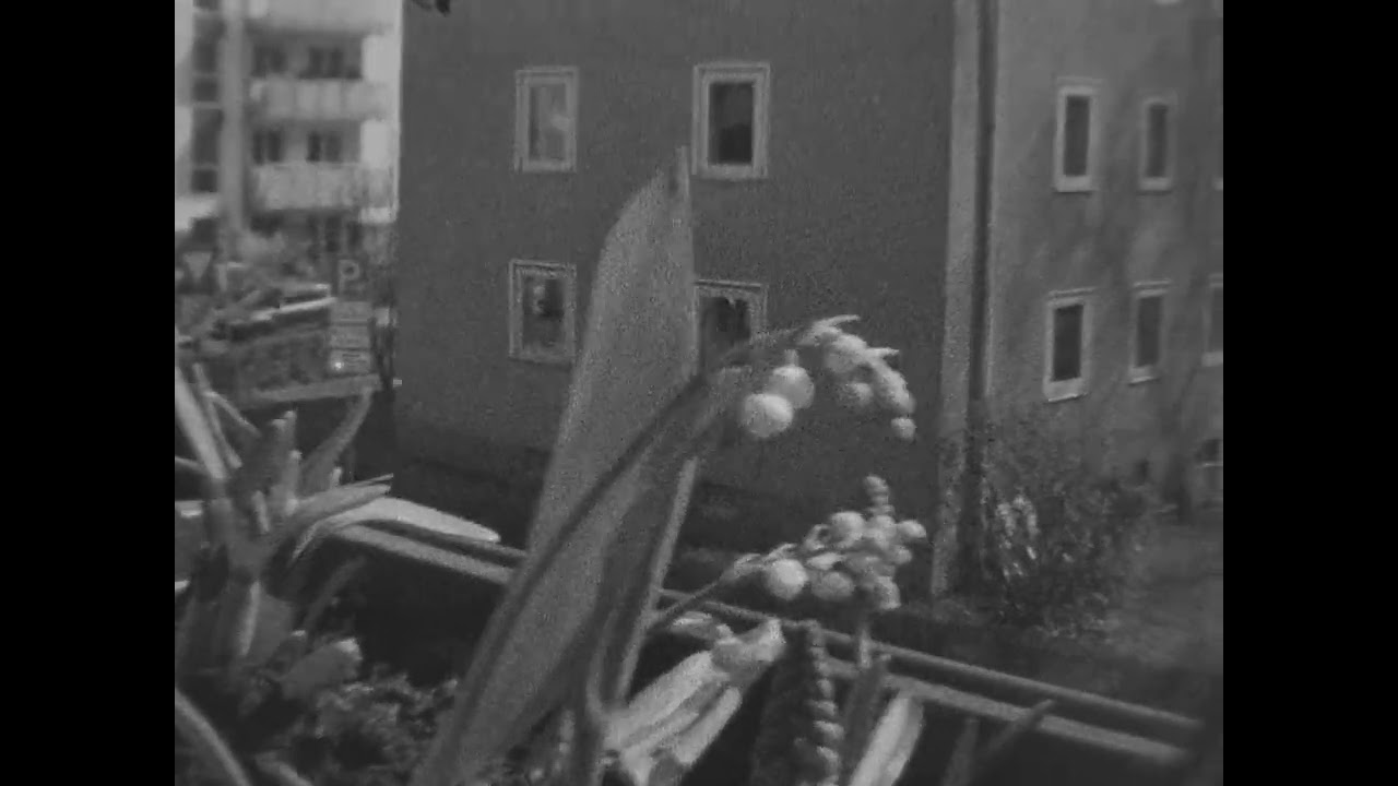 Testfilm Bauer C6 Makro