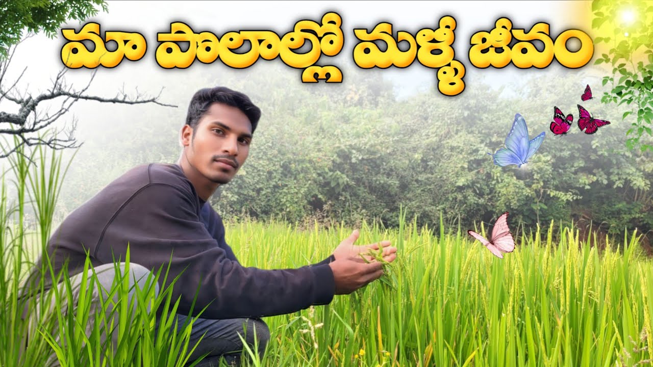 మా పొలములో మళ్ళీ జీవము|Life Returns to My Fields|In Telugu By Rishi's The World
