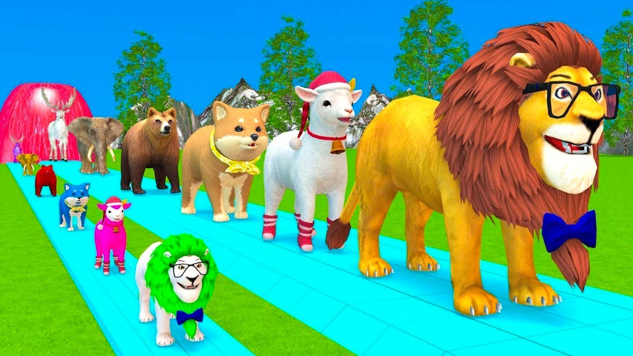 Long Slide Game With Elephant Gorilla Buffalo Hippopotamus Tiger 3d Animal Game Funny 3d Animals