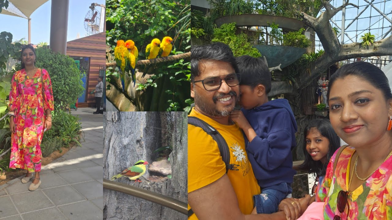 Zoo#birds#animals#dubai#ResmiNileshvlogs