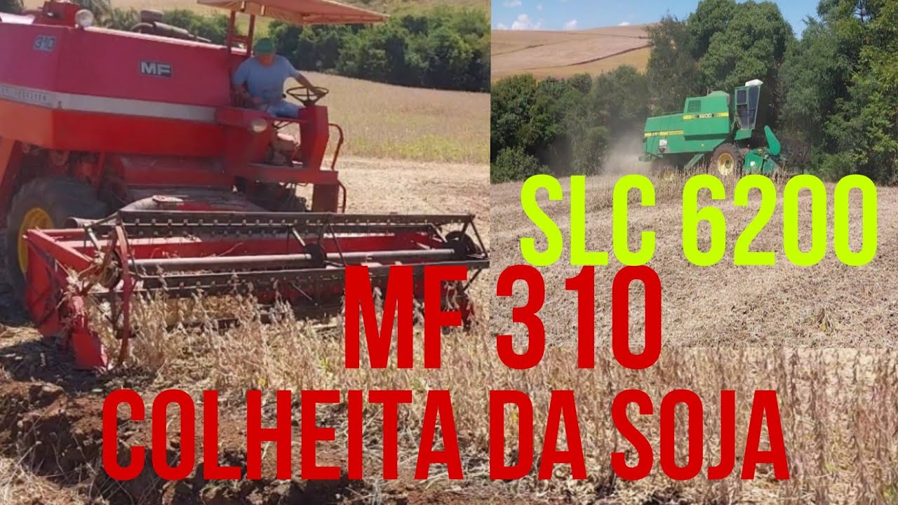 Colheita da Soja MF 310×SLC 6200 Na Lida
