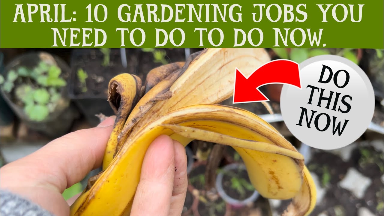 APRIL: 10 April gardening jobs you should be doing in April to make sure you stay on top of things.