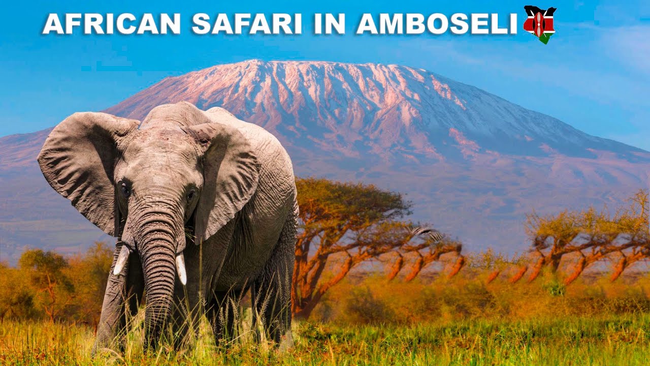 How to experience Africa’s Best Safari in Amboseli National Park, Kenya in 2022
