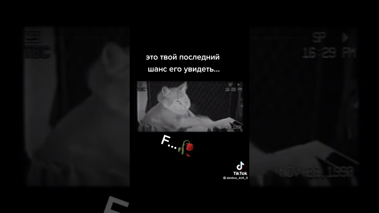 го 3 лойса