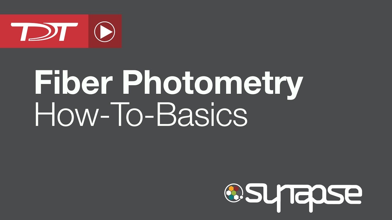 Fiber Photometry - RZ5P Processor - TDT