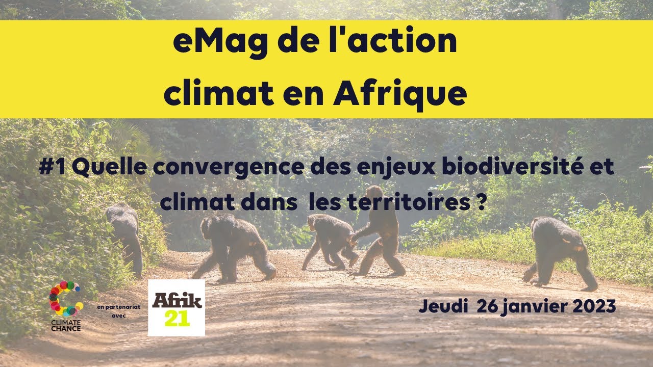 Quelle convergence des enjeux climat et biodiversité dans les territoires africains ? - eMag #1
