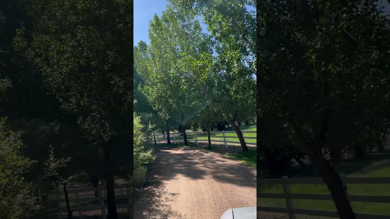Driving in to shoe at a Ranch. RJF