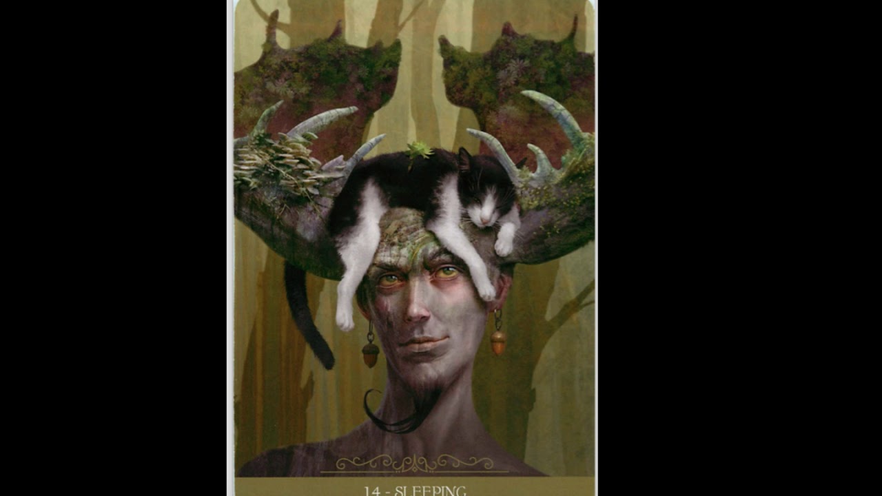 FANTASY CATS ORACLE  FULL FLIP THROUGH