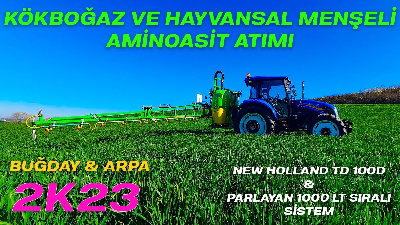 KÖKBOĞAZ VE HAYVANSAL MENŞELİ AMİNOASİT ATIMI BUĞDAY & ARPA / NEW HOLLAND TD100D & PARLAYAN 2023..!!